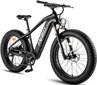 Elektriskais velosipēds Fafrees F26 CarbonM, 26", melns цена и информация | Elektrovelosipēdi | 220.lv