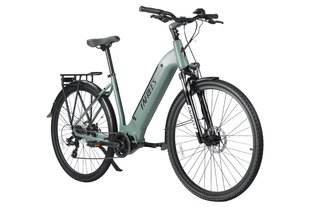 Elektriskais velosipēds FAFREES FM9, 29", zaļš cena un informācija | Elektrovelosipēdi | 220.lv