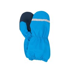 Cimdi zēniem Lenne, zili цена и информация | Шапки, перчатки, шарфы для мальчиков | 220.lv