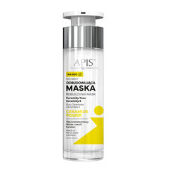 Nakts maska Apis Natural Cosmetics sievietēm, 50 ml цена и информация | Маски для лица, патчи для глаз | 220.lv