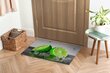 Durvju paklājs Laims, 90x60 cm cena un informācija | Kājslauķi | 220.lv
