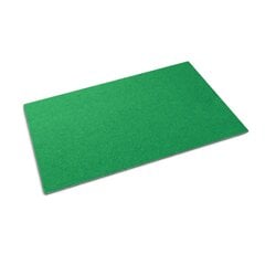 Durvju paklājs Zaļš, 60x40 cm cena un informācija | Kājslauķi | 220.lv