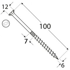 Kokskrūves CS 6x100 100gab TX30 цена и информация | Крепежные изделия | 220.lv