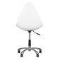 Darba krēsls 265, balts cena un informācija | Mēbeles skaistumkopšanas saloniem | 220.lv