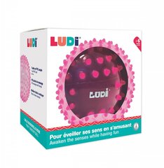 Vingrošanas bumba Ludi, rozā, 20 cm cena un informācija | Rotaļlietas zīdaiņiem | 220.lv