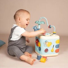 Aktivitāšu kubs Sensoro 13in1 цена и информация | Игрушки для малышей | 220.lv