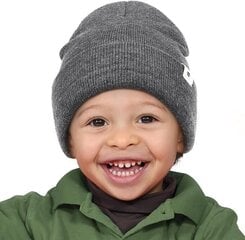 Детская шапка весна-осень на атласной подкладке из Янибе, серая цена и информация | Шапки, перчатки, шарфы для мальчиков | 220.lv