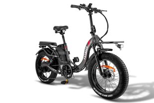 Elektriskais velosipēds Fafrees F20 X-Max, 20", pelēks cena un informācija | Elektrovelosipēdi | 220.lv