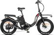 Elektriskais velosipēds Fafrees F20 X-Max, 20", pelēks цена и информация | Elektrovelosipēdi | 220.lv