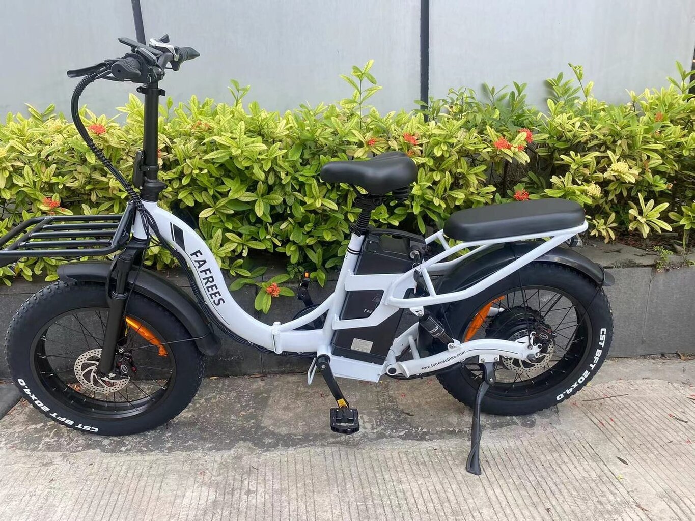 Elektriskais velosipēds Fafrees F20 X-Max, 20", pelēks cena un informācija | Elektrovelosipēdi | 220.lv