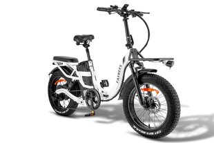Электровелосипед Fafrees F20 X-Max, 20", белый, 750Вт, 30Ач Samsung цена и информация | Электровелосипеды | 220.lv