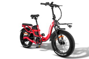 Электровелосипед Fafrees F20 X-Max, 20", красный, 750Вт, 30Ач Samsung цена и информация | Электровелосипеды | 220.lv