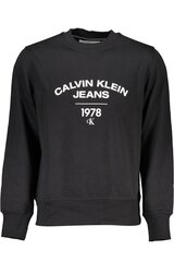 Calvin Klein džemperis vīriešiem J30J324210, melns cena un informācija | Vīriešu jakas | 220.lv