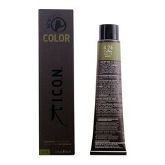 Ilgnoturīga matu krāsa I.C.O.N. Ecotech Color, 60 ml cena un informācija | Matu krāsas | 220.lv