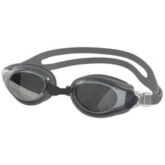 Peldēšanas brilles Aqua-Speed ​​​​Champion, pelēkas cena un informācija | Peldēšanas brilles | 220.lv