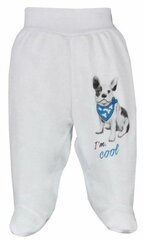 детские брюки cool dog , размер 68, белый цена и информация | Штаны для младенцев | 220.lv