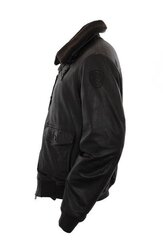 КУРТКА МУЖСКАЯ КОЖАНАЯ BLAUER BLUL01285 32214-7 цена и информация | Мужские куртки | 220.lv