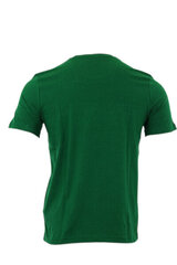 T-krekls vīriešiem Aeronautica Militare, zaļš cena un informācija | Vīriešu T-krekli | 220.lv