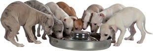 Миска металлическая для животных Trixie, 4 л, 38 см цена и информация | Миски, ящики для корма | 220.lv