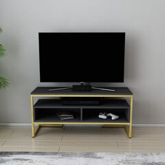 TV galdiņš Asir, 110x35x49,9 cm, zelts/pelēks cena un informācija | TV galdiņi | 220.lv