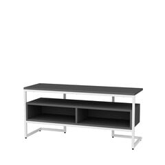 TV galdiņš Asir, 110x35x49,9 cm, balts/pelēks cena un informācija | TV galdiņi | 220.lv