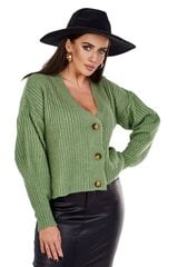 Džemperis sievietēm 26503, zaļš cena un informācija | Sieviešu džemperi | 220.lv