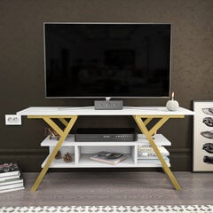 TV galdiņš Asir, 120x35x55 cm, zelts/balts cena un informācija | TV galdiņi | 220.lv