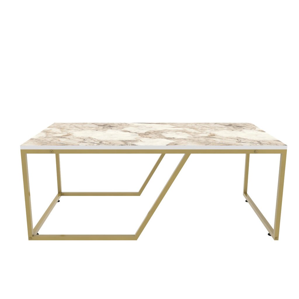 Kafijas galdiņš Asir, 120x60x48 cm, balts/zelts цена и информация | Žurnālgaldiņi | 220.lv