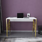 Galds Asir, 120x60x74,8 cm, zelts/balts cena un informācija | Datorgaldi, rakstāmgaldi, biroja galdi | 220.lv