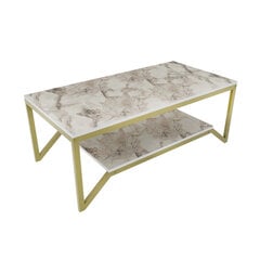 Kafijas galdiņš Asir, 120x60x45,8 cm, zelts/balts cena un informācija | Žurnālgaldiņi | 220.lv