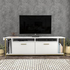TV statīvs Asir, 160x35x50,8 cm, balts/zelts cena un informācija | TV galdiņi | 220.lv