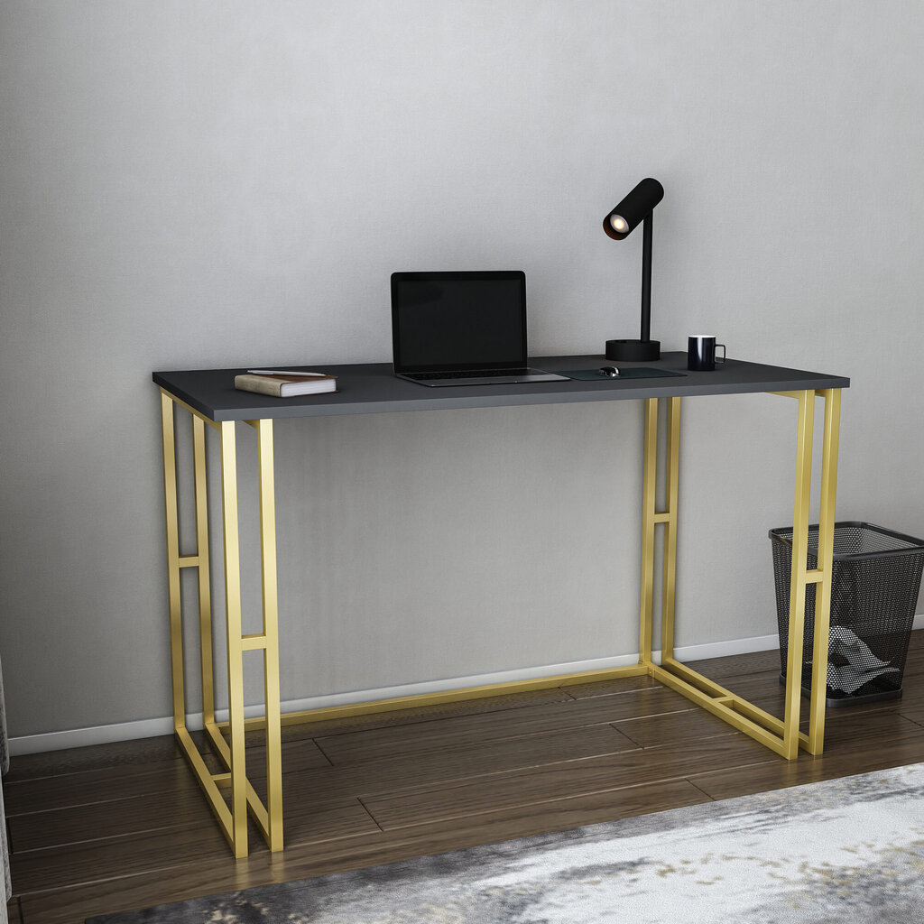 Galds Asir, 120x60x74,8 cm, zelts/pelēks cena un informācija | Datorgaldi, rakstāmgaldi, biroja galdi | 220.lv