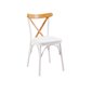 Krēsls Asir, 46x87x48 cm, balts cena un informācija | Virtuves un ēdamistabas krēsli | 220.lv