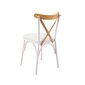 Krēsls Asir, 46x87x48 cm, balts cena un informācija | Virtuves un ēdamistabas krēsli | 220.lv