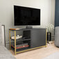 TV statīvs Asir, 89,6x35,3x50,8 cm, zelts/pelēks cena un informācija | TV galdiņi | 220.lv