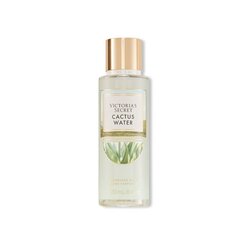 Спрей для тела Victoria&#39;s Secret Cactus Water, 250 мл цена и информация | Кремы, лосьоны для тела | 220.lv