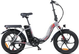 Электровелосипед Fafrees F20, 20", серый, 250Вт, 16Ач цена и информация | Электровелосипеды | 220.lv