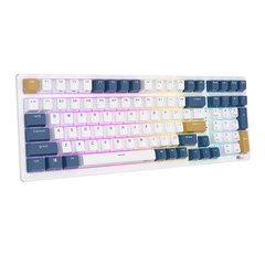 Mechanical keyboard Royal Kludge RK98 RGB, Red switch (blue) цена и информация | Клавиатуры | 220.lv