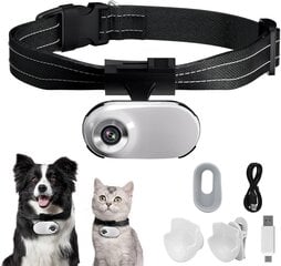 Kamera ar siksnu kaķiem/suņiem cena un informācija | Pavadas, apkakles, siksnas kaķiem | 220.lv
