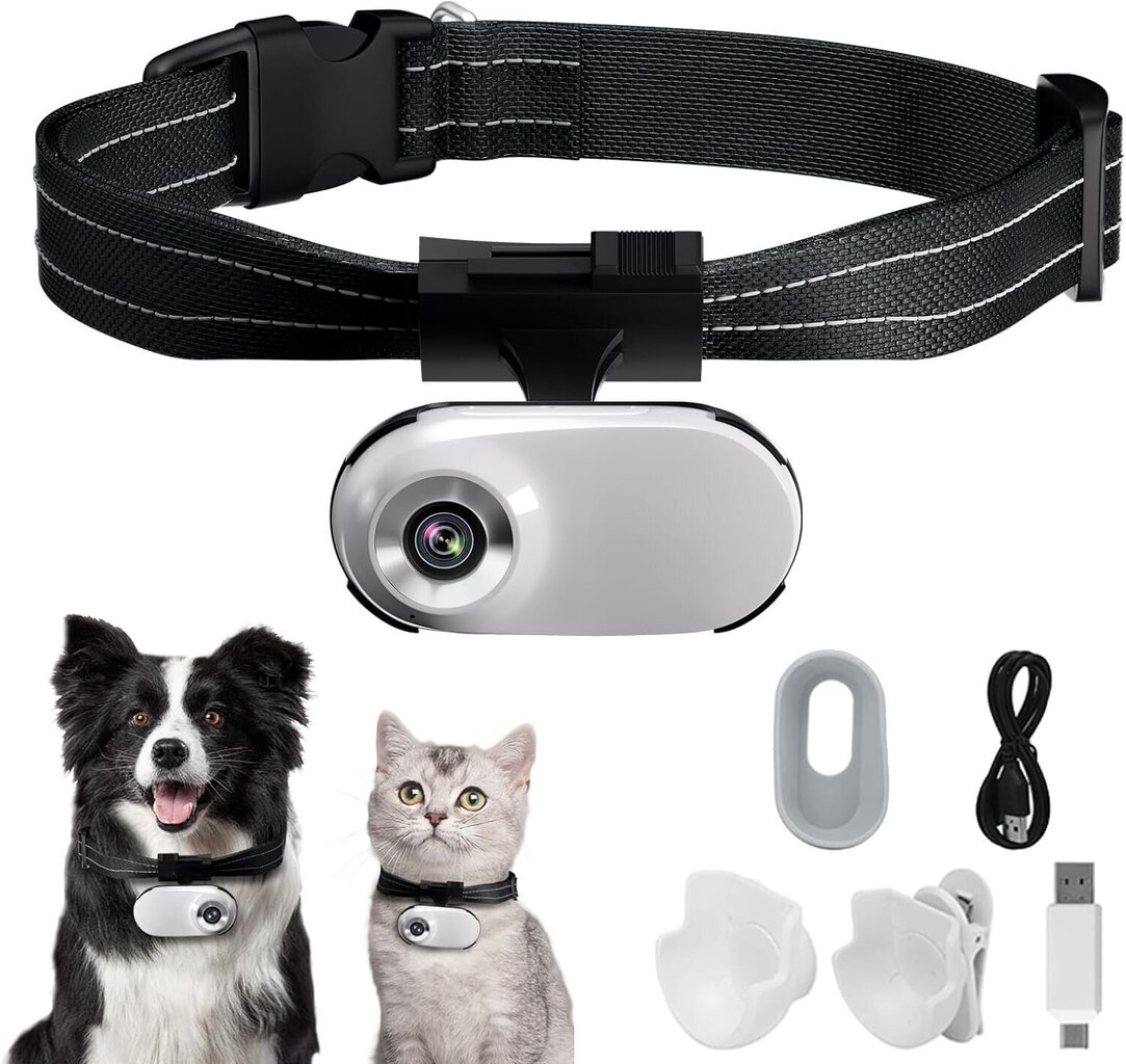 Kamera ar siksnu kaķiem/suņiem цена и информация | Pavadas, apkakles, siksnas kaķiem | 220.lv