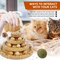 Interaktīvā kaķu rotaļlieta цена и информация | Rotaļlietas kaķiem | 220.lv