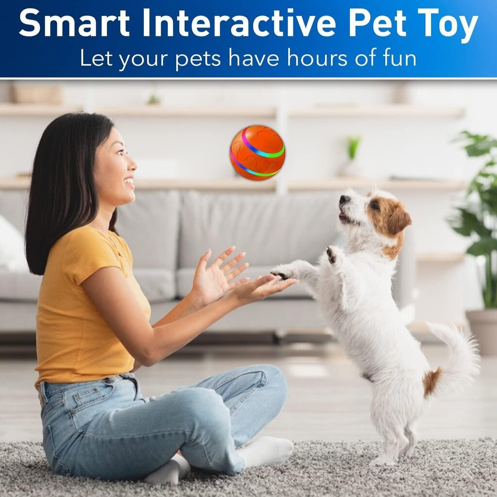 Interaktīvā bumba kaķiem/suņiem цена и информация | Suņu rotaļlietas | 220.lv