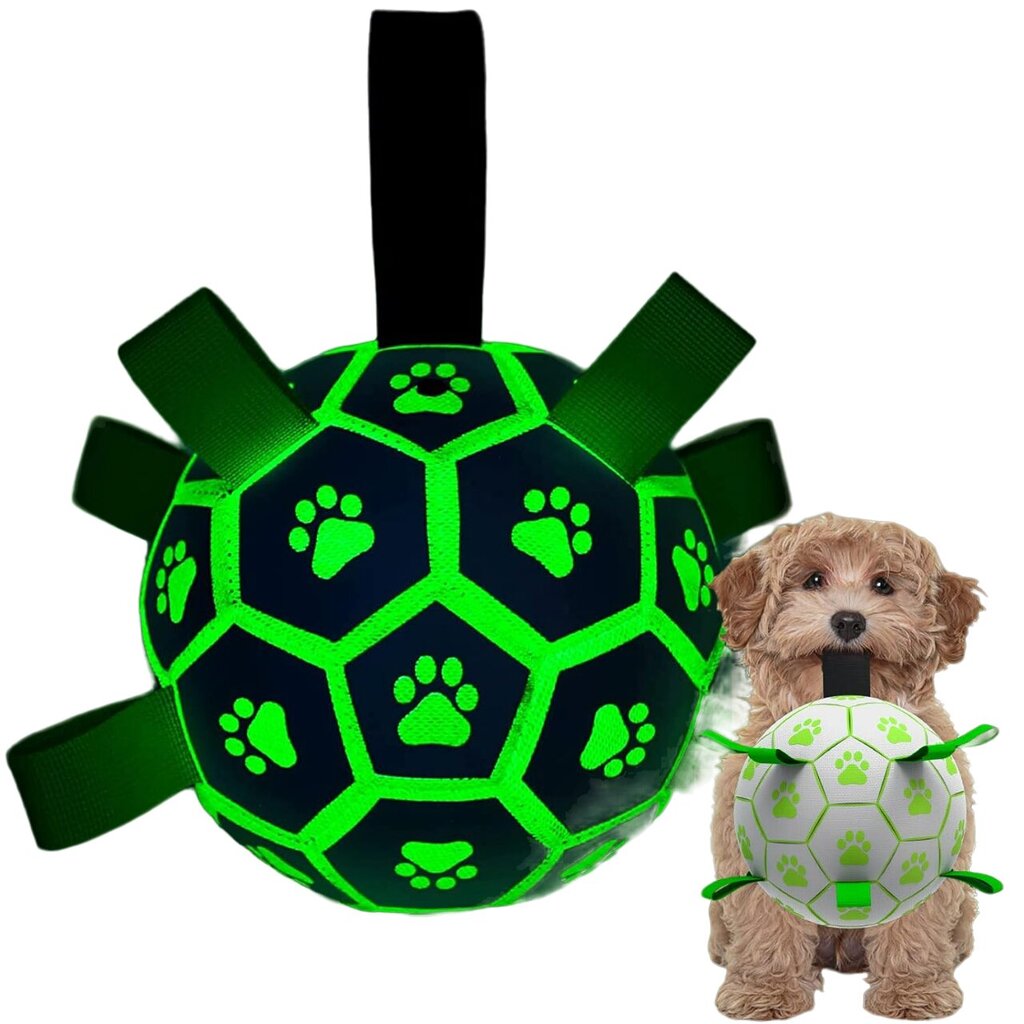 Interaktīvā bumba suņiem Luminous cena un informācija | Suņu rotaļlietas | 220.lv