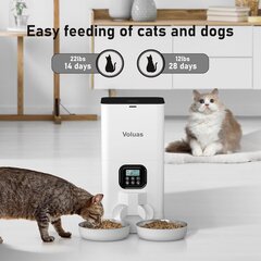 Автоматическая кормушка для котов/собак цена и информация | Миски, ящики для корма | 220.lv