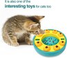 Interaktīvā kaķu/suņu rotaļlieta Food Roulette cena un informācija | Rotaļlietas kaķiem | 220.lv