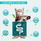 Rotaļlieta kaķiem ar kaķu piparmētrām cena un informācija | Rotaļlietas kaķiem | 220.lv