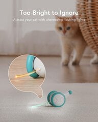 Интерактивная игрушка для кошек Mouse цена и информация | Игрушки для кошек | 220.lv