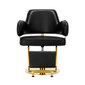 Friziera krēsls Gabbiano Linz Nq, melns/zelta cena un informācija | Mēbeles skaistumkopšanas saloniem | 220.lv