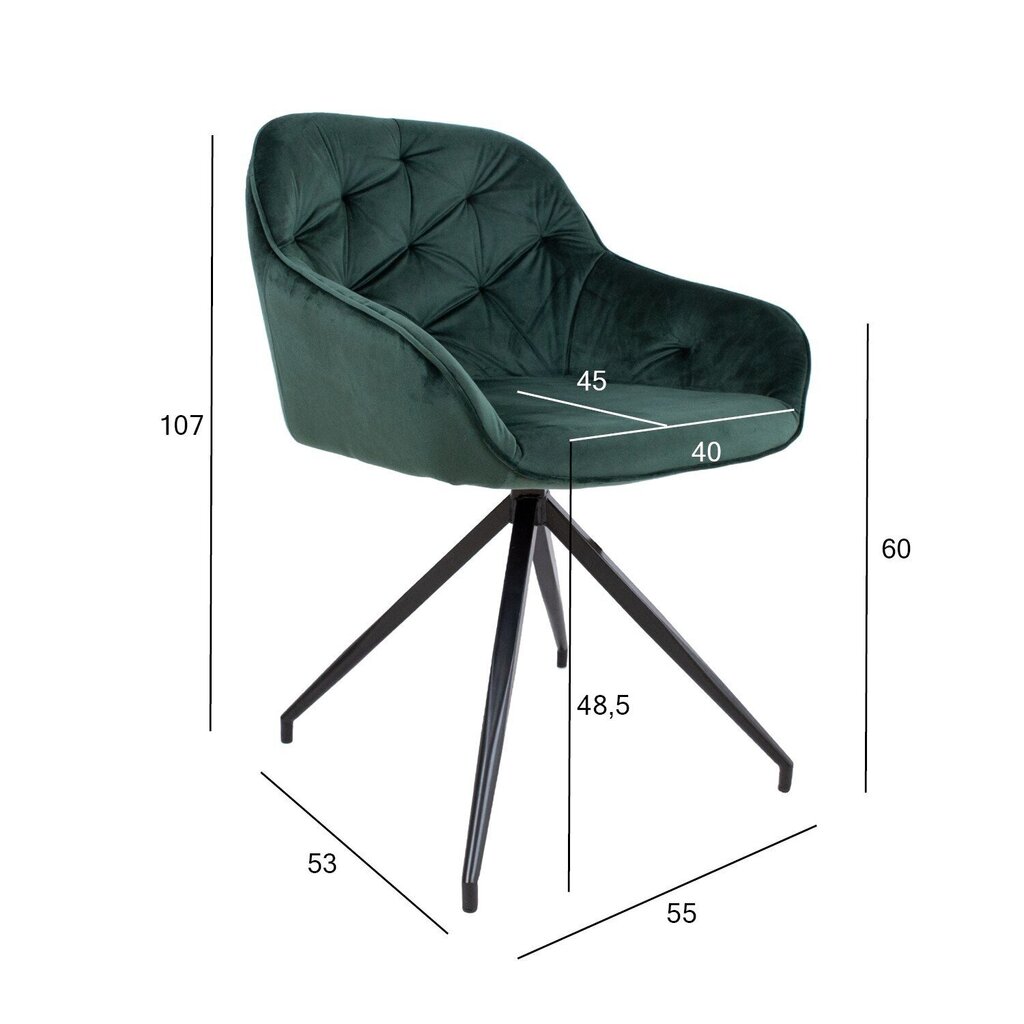Krēsls Brit zaļš cena un informācija | Virtuves un ēdamistabas krēsli | 220.lv