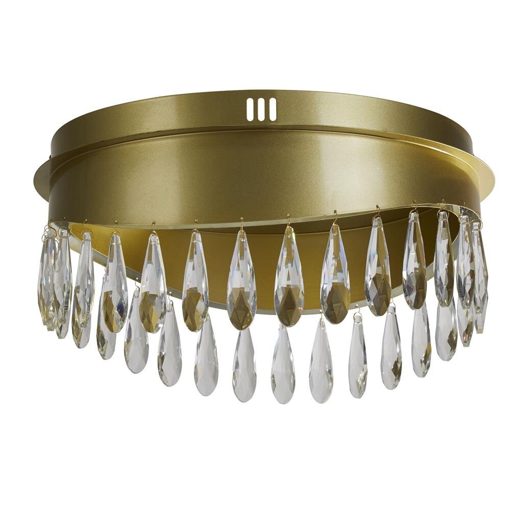Griestu gaismeklis Searchlight Jewel LED 19211-1GO cena un informācija | Griestu lampas | 220.lv